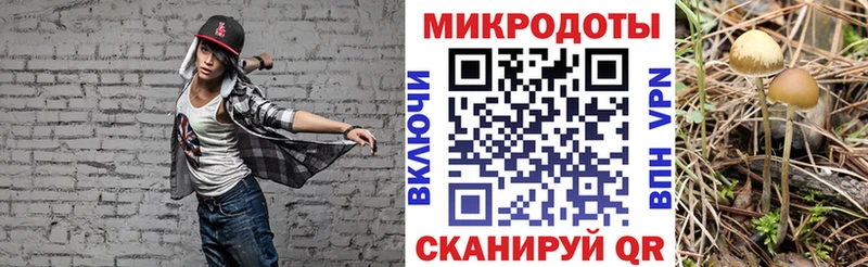 Псилоцибиновые грибы Cubensis  Ивангород 